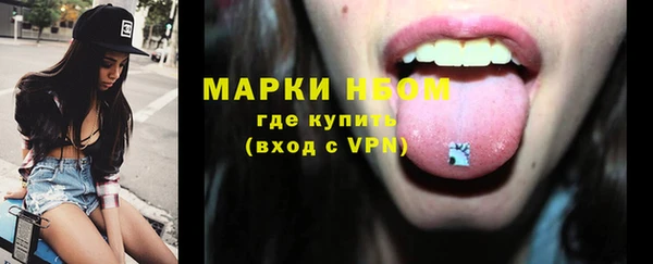 стафф Карпинск