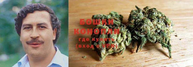 дарнет шоп  Кирсанов  Марихуана OG Kush 